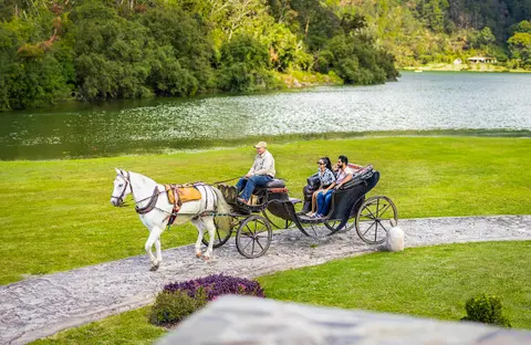 Sierra Lago Resort & Spa - Horse-drawn carriage with guests along the lakeside path