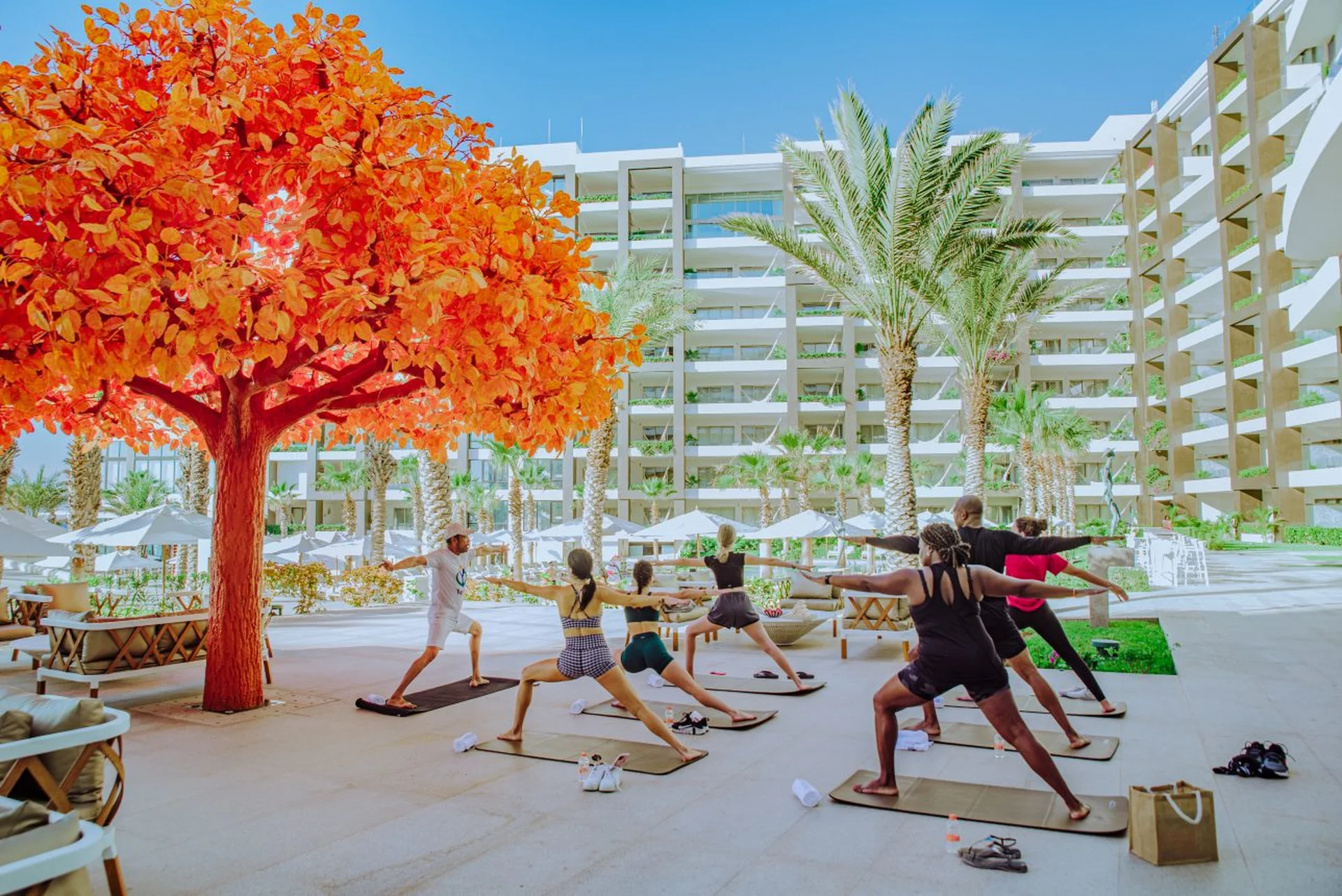 Huéspedes en una clase de yoga al aire libre junto a un vibrante árbol de naranjo en Garza Blanca Cabo