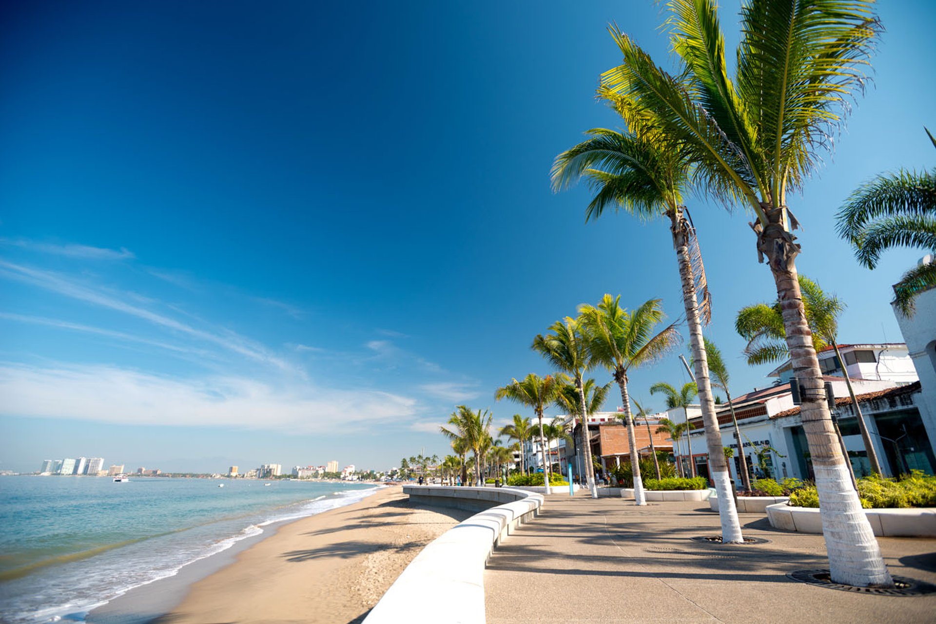 activities in puerto vallarta