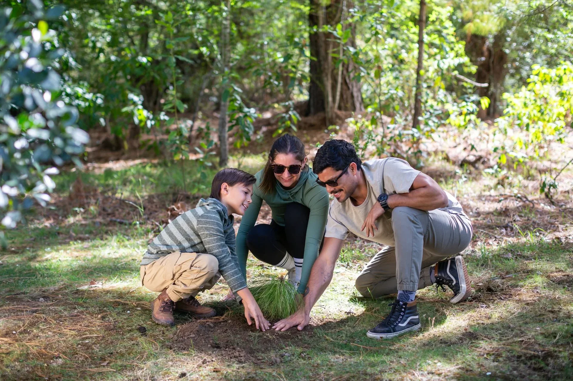 Students planting a tree in the forest at Sierra Lago