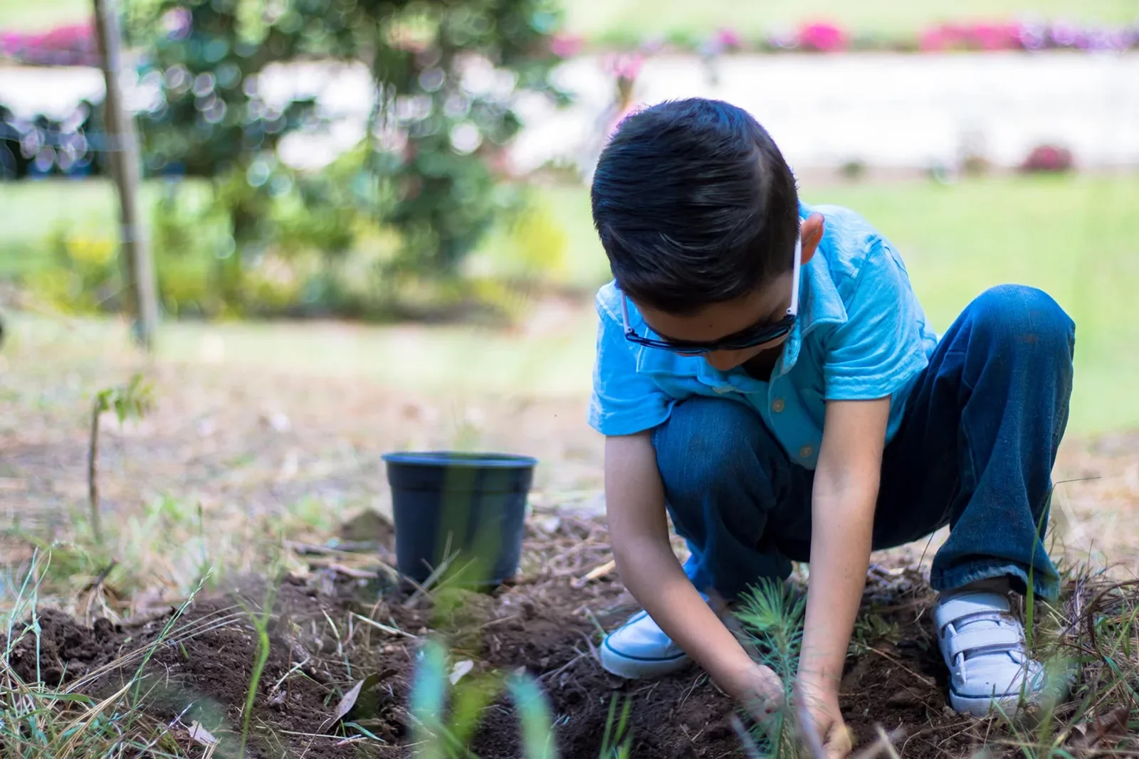 Child planting a tree in the garden