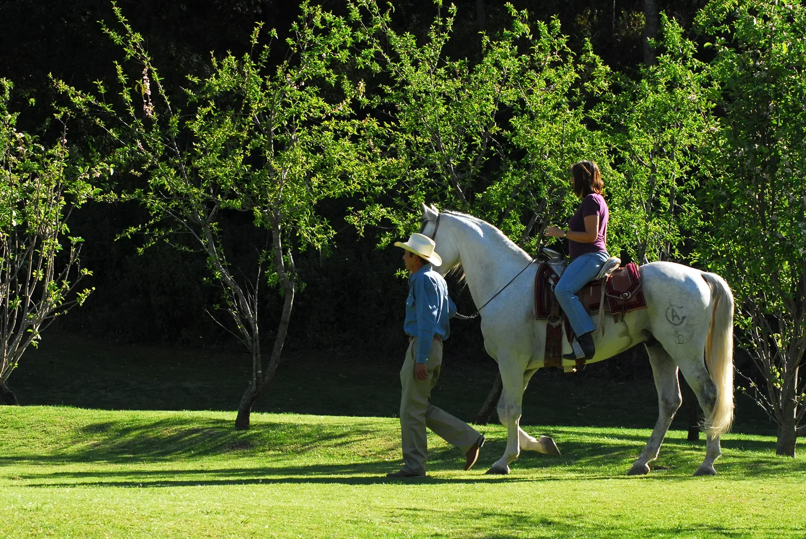 Horseback ride through the gardens