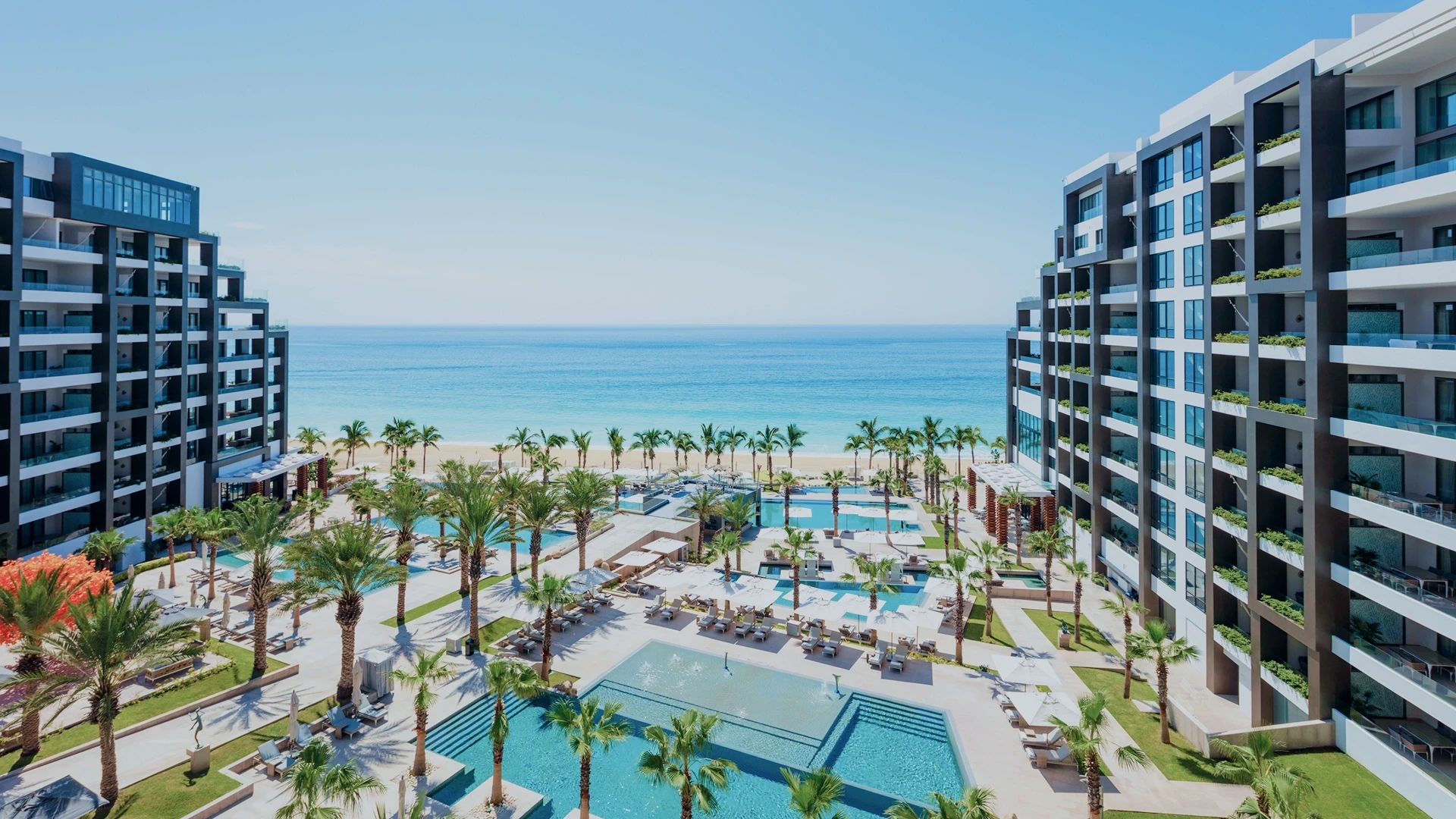 winter los cabos