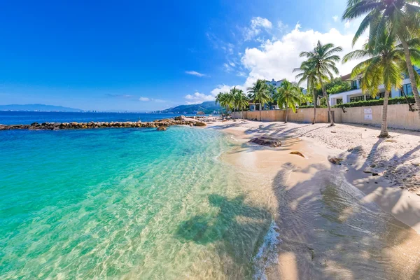 Tropical-Beach-in-Puerto-Vallarta