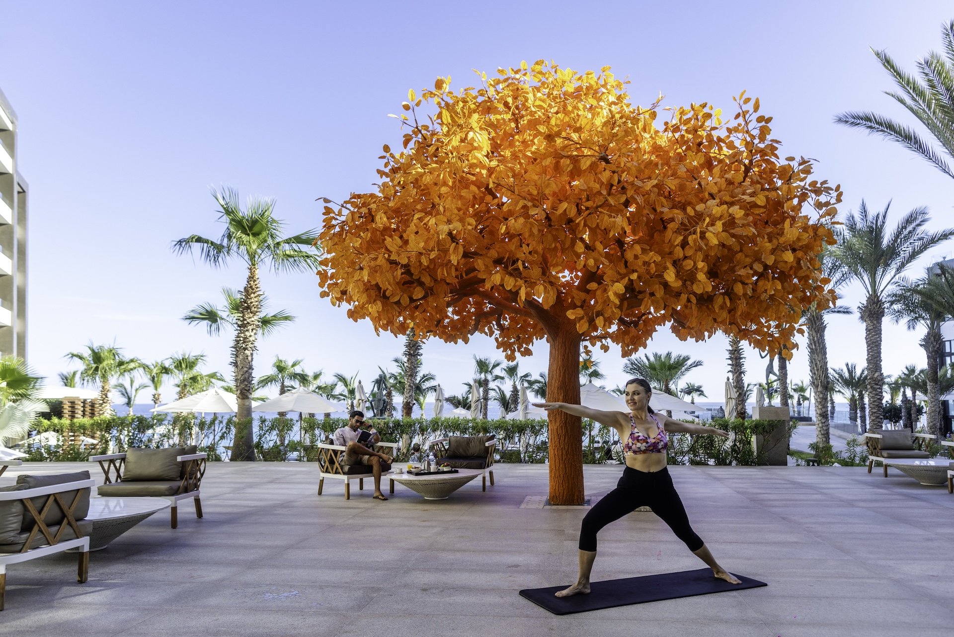 spring sale garza blanca los cabos