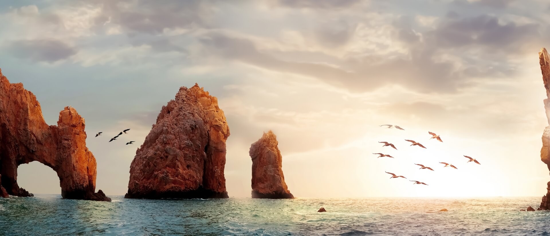 destination los cabos