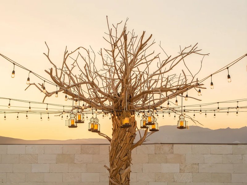 Noi Restaurant, Garza Blanca Los Cabos.