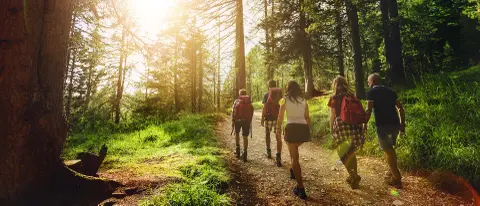 Students hiking through the forest at Sierra Lago