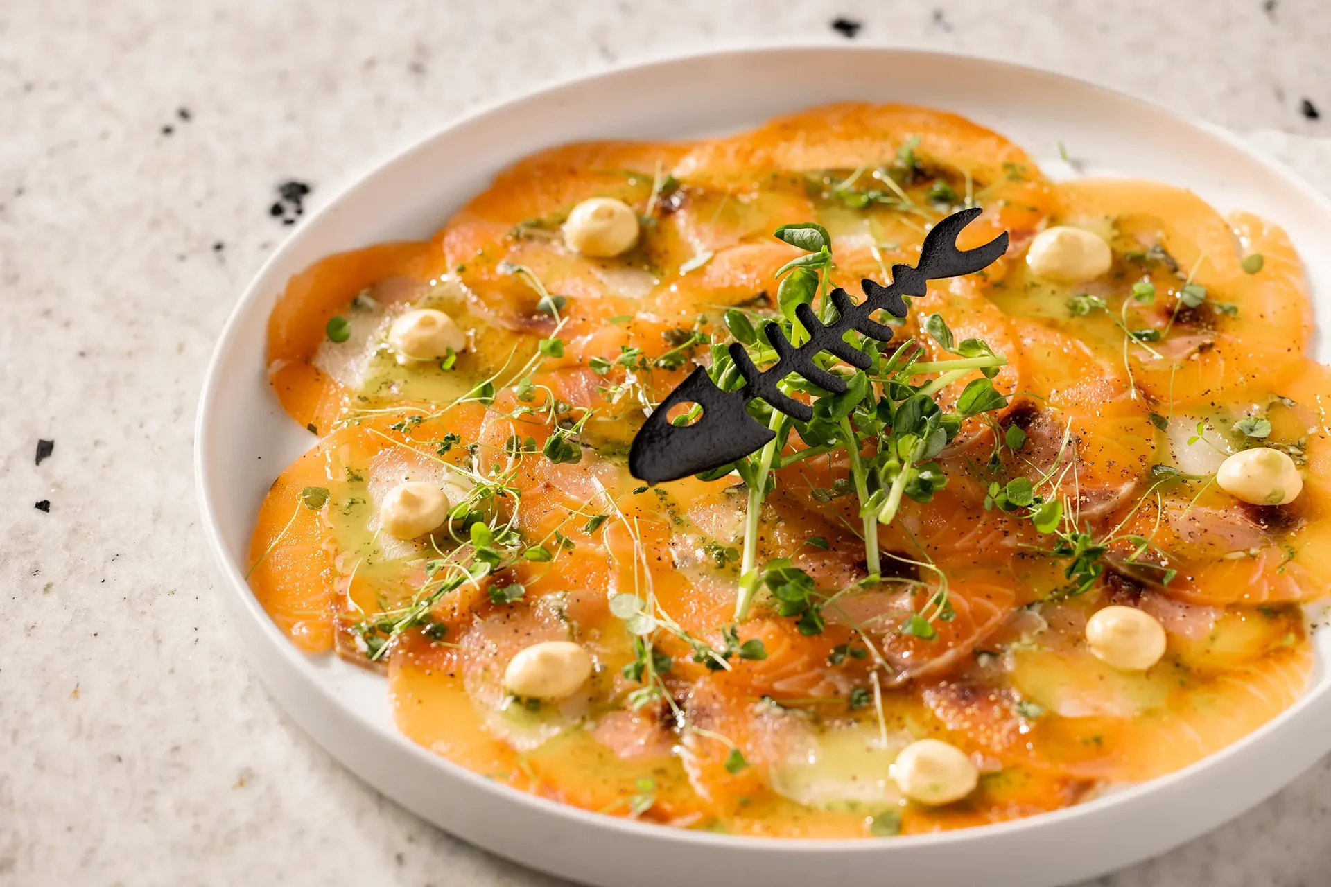 tafermscnfbnoidinner-18