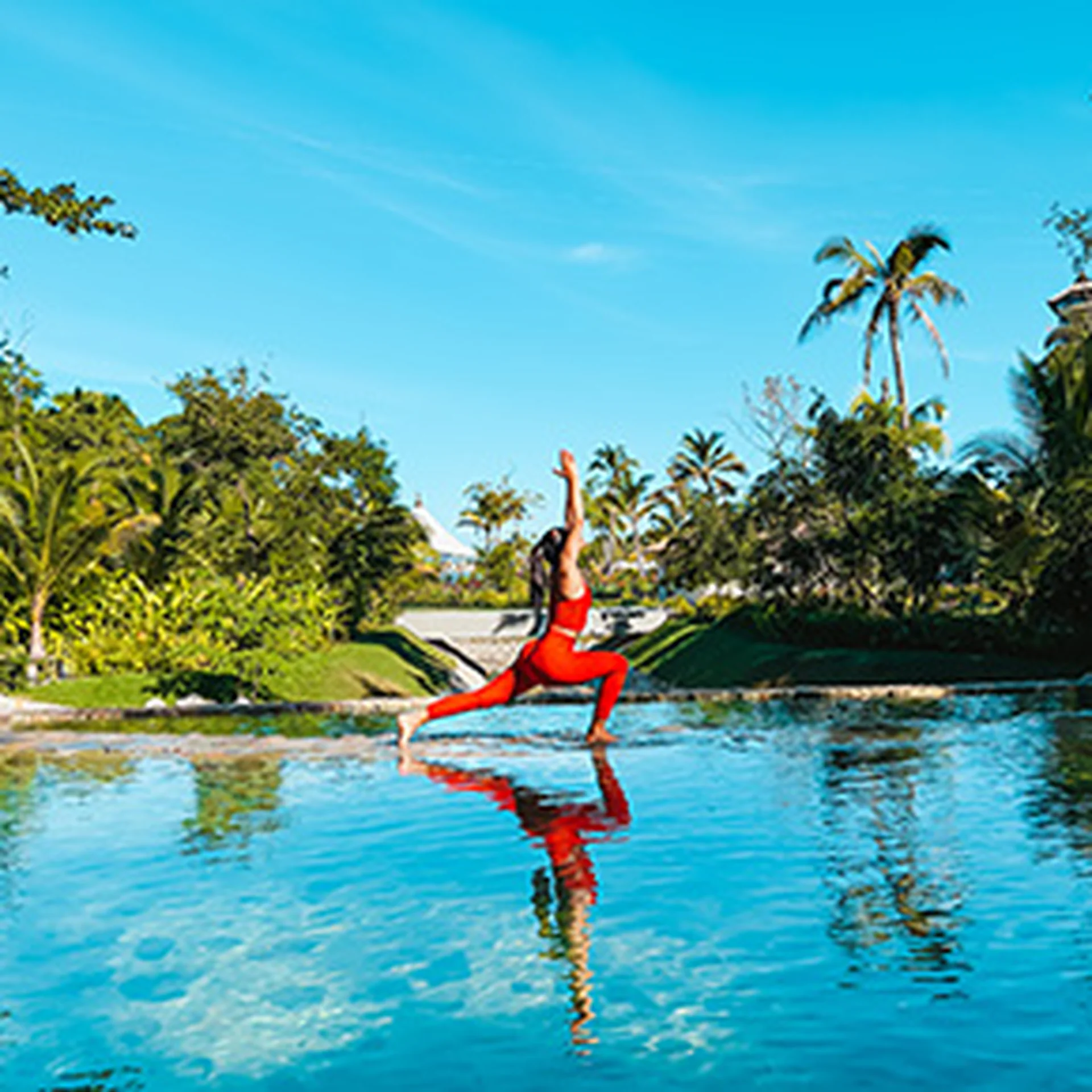 Hotel Mousai Puerto vallarta - activities