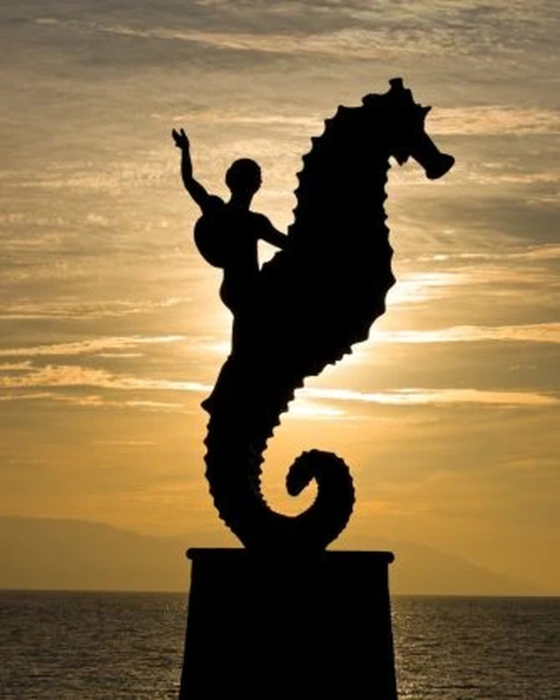 the emblematic sea ​​horse