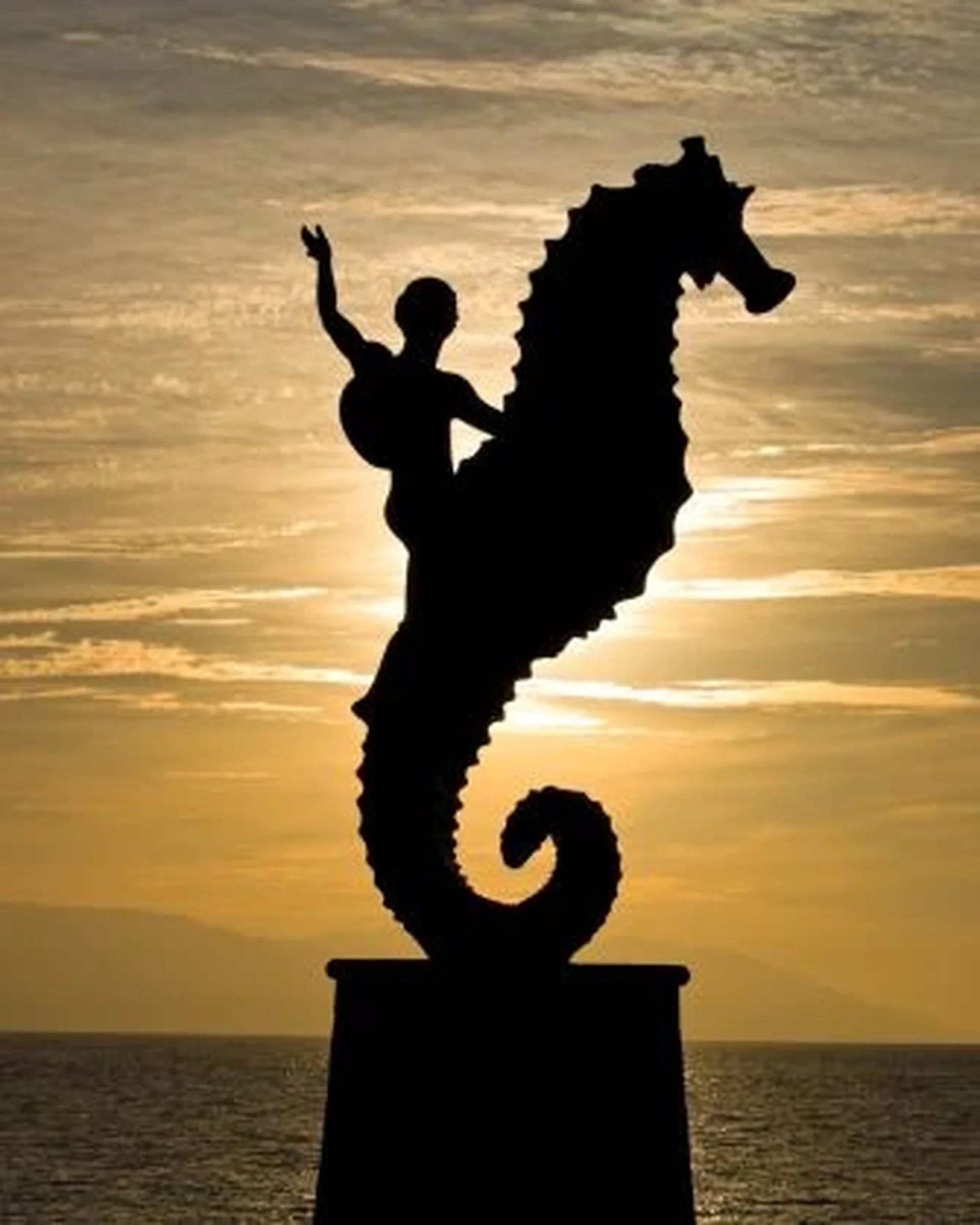 the emblematic sea ​​horse