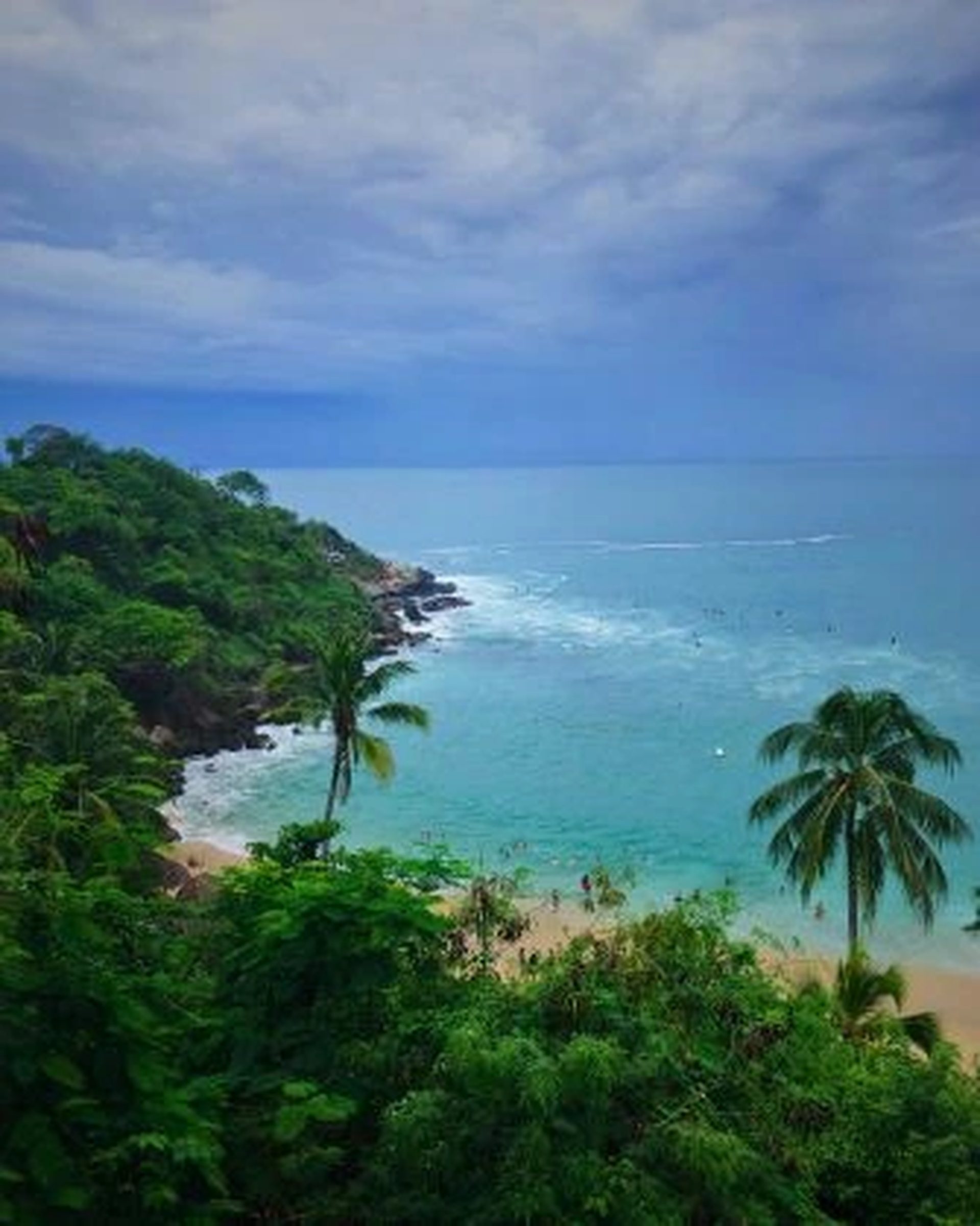 beauty nature of puerto vallarta
