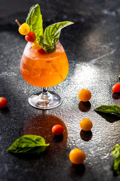 Gallery TierraLuna 25