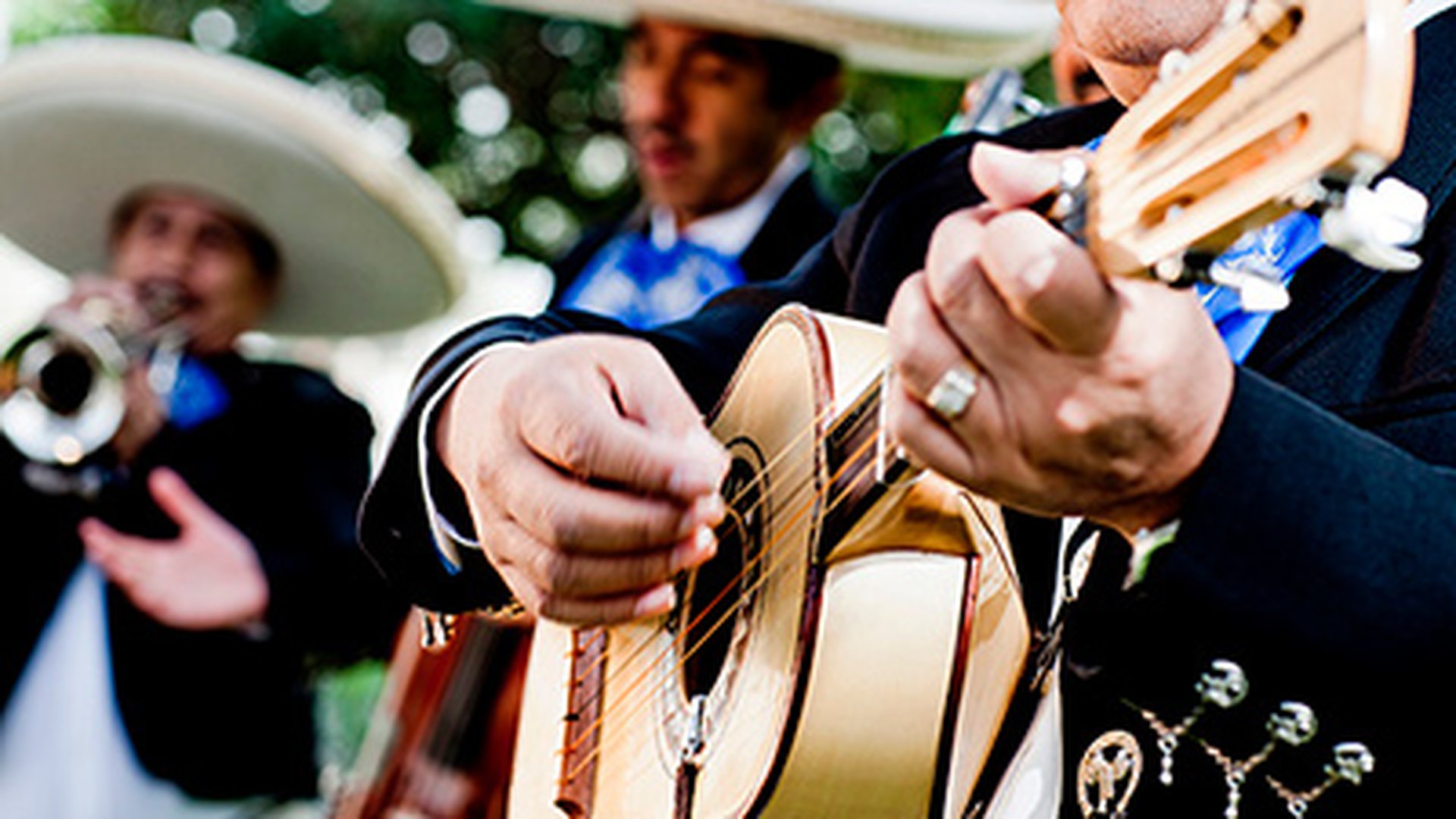culture and entertainment los cabos