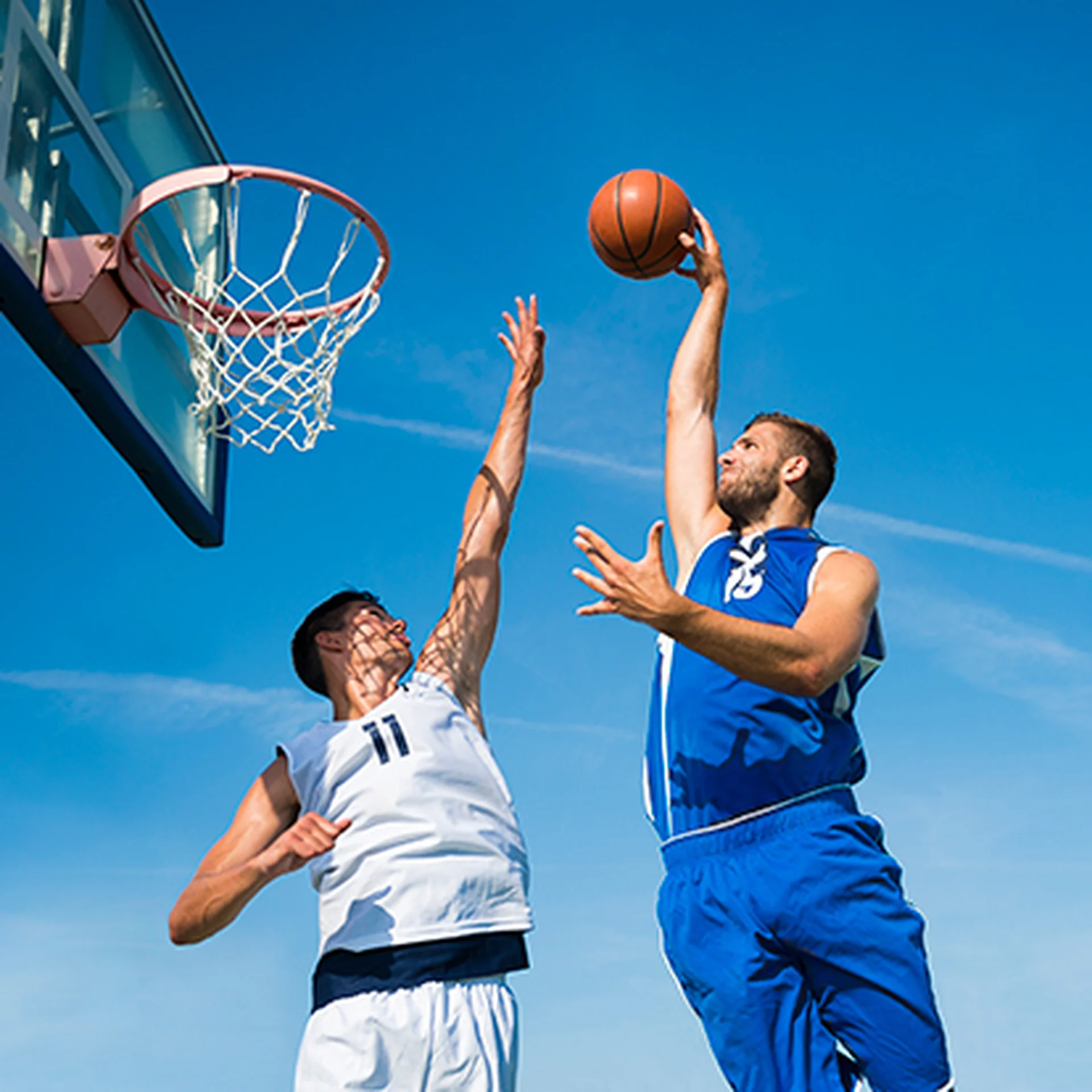 Hotel Mousai Puerto vallarta - activities