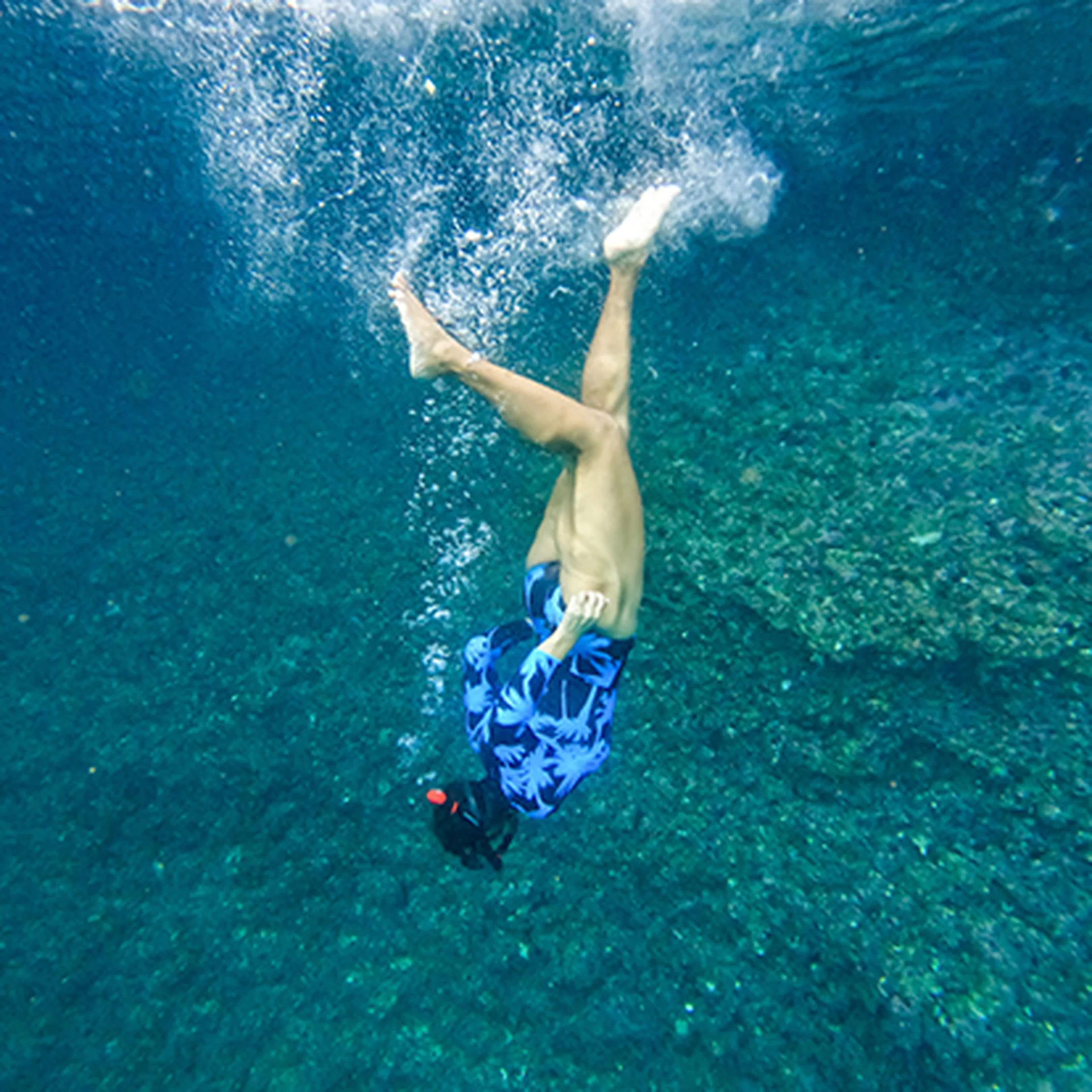 Hotel Mousai Puerto vallarta - activities