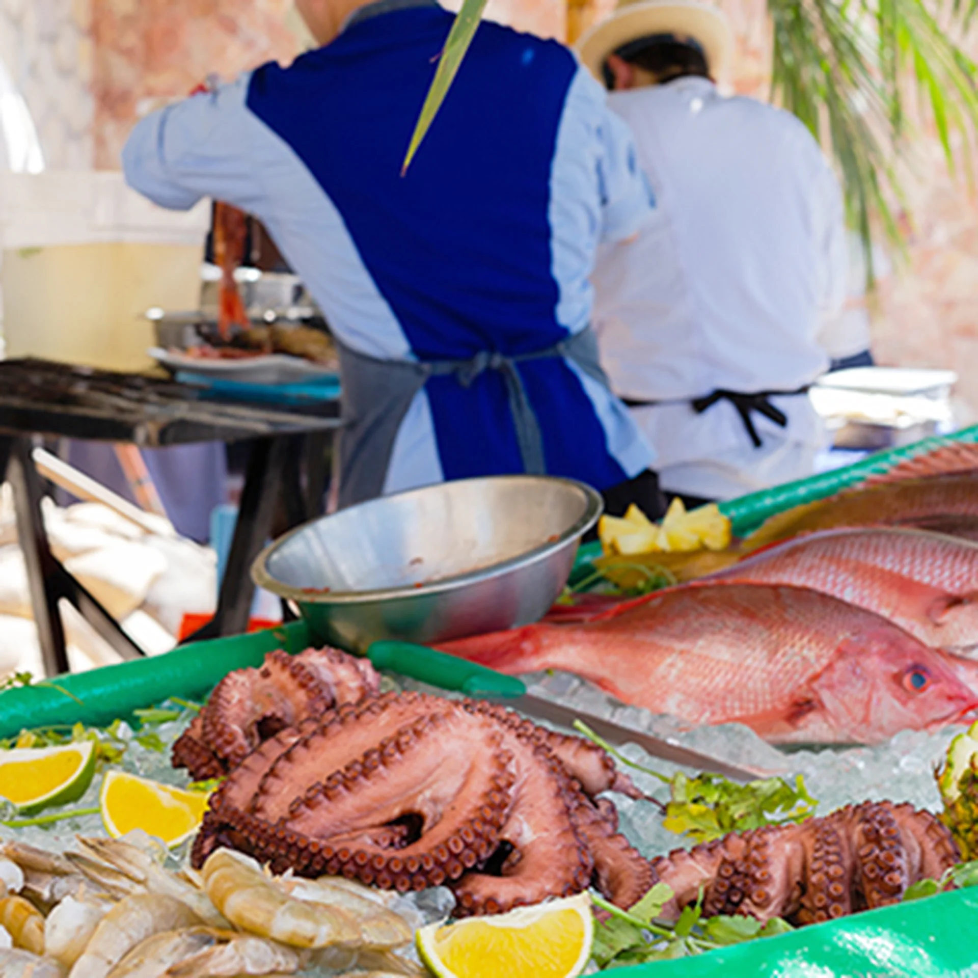 Hotel Mousai Puerto vallarta - activities