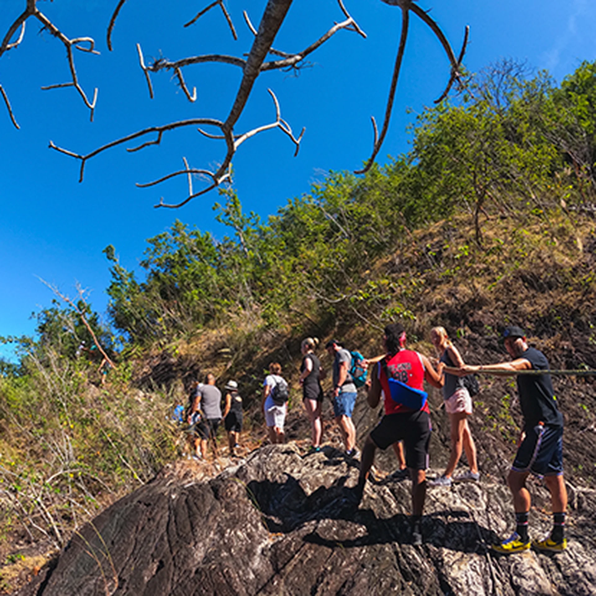 Hotel Mousai Puerto vallarta - activities