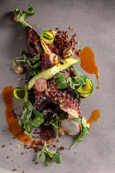 Gourmet dish with grilled octopus, zucchini slices, radishes, microgreens, and sauce drizzles on a gray plate.