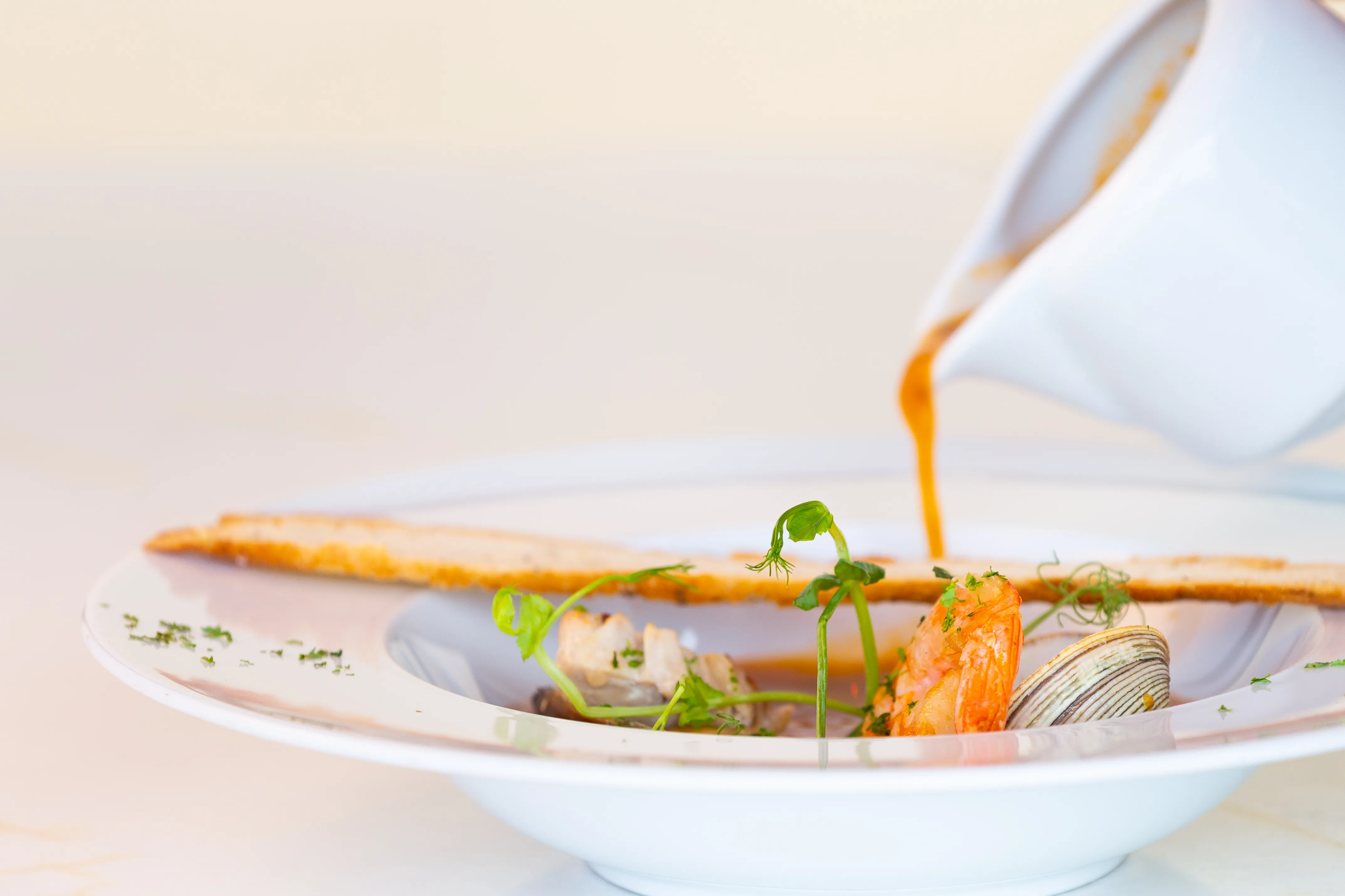 garza blanca puerto vallarta