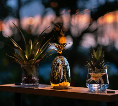 Gallery TierraLuna 10