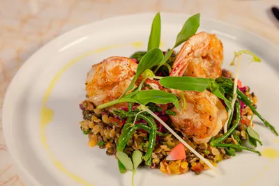 MSPV Dining NOI Italian Restaurant 3