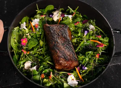 Gallery TierraLuna 12