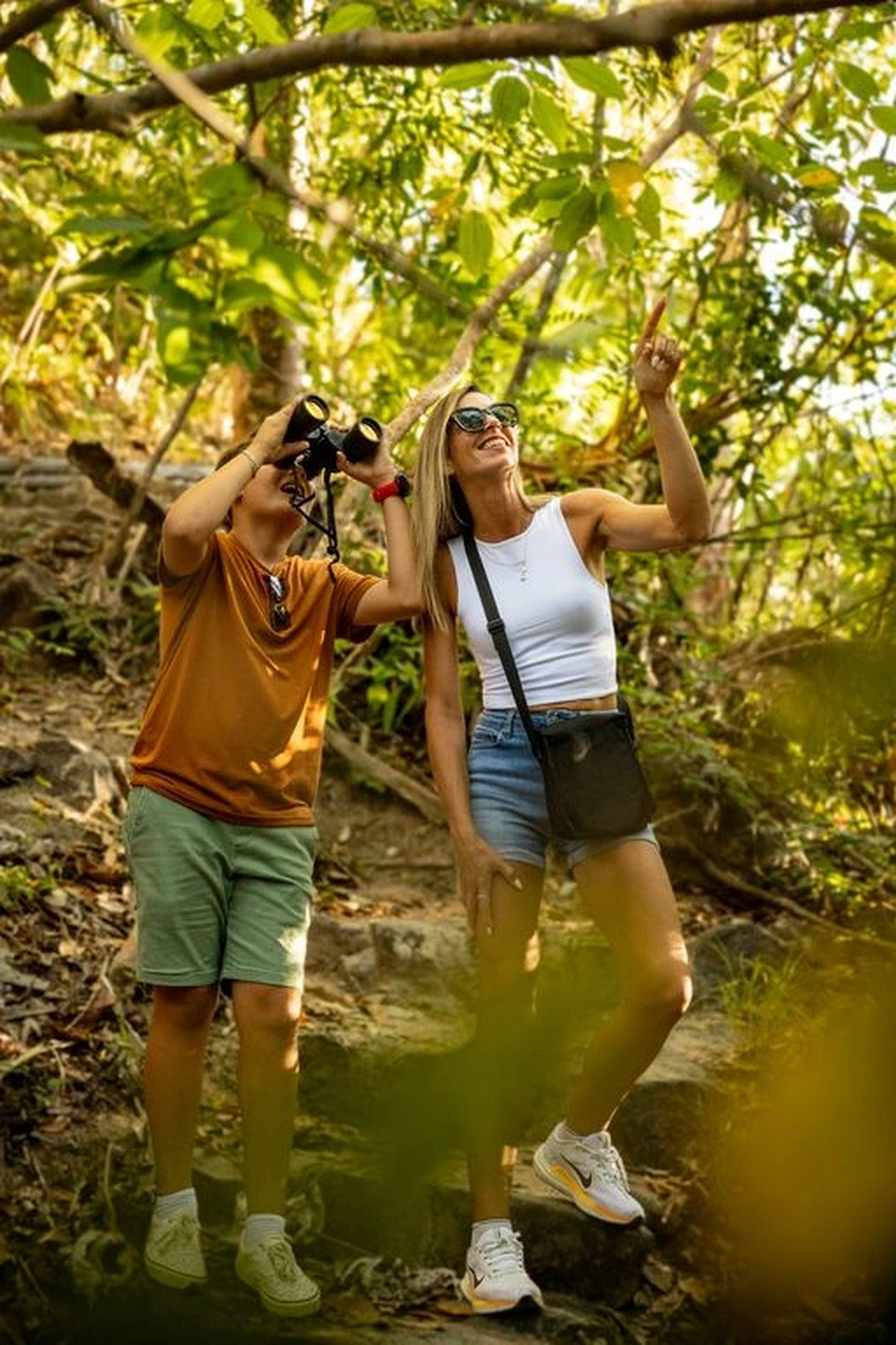 bird watching tour