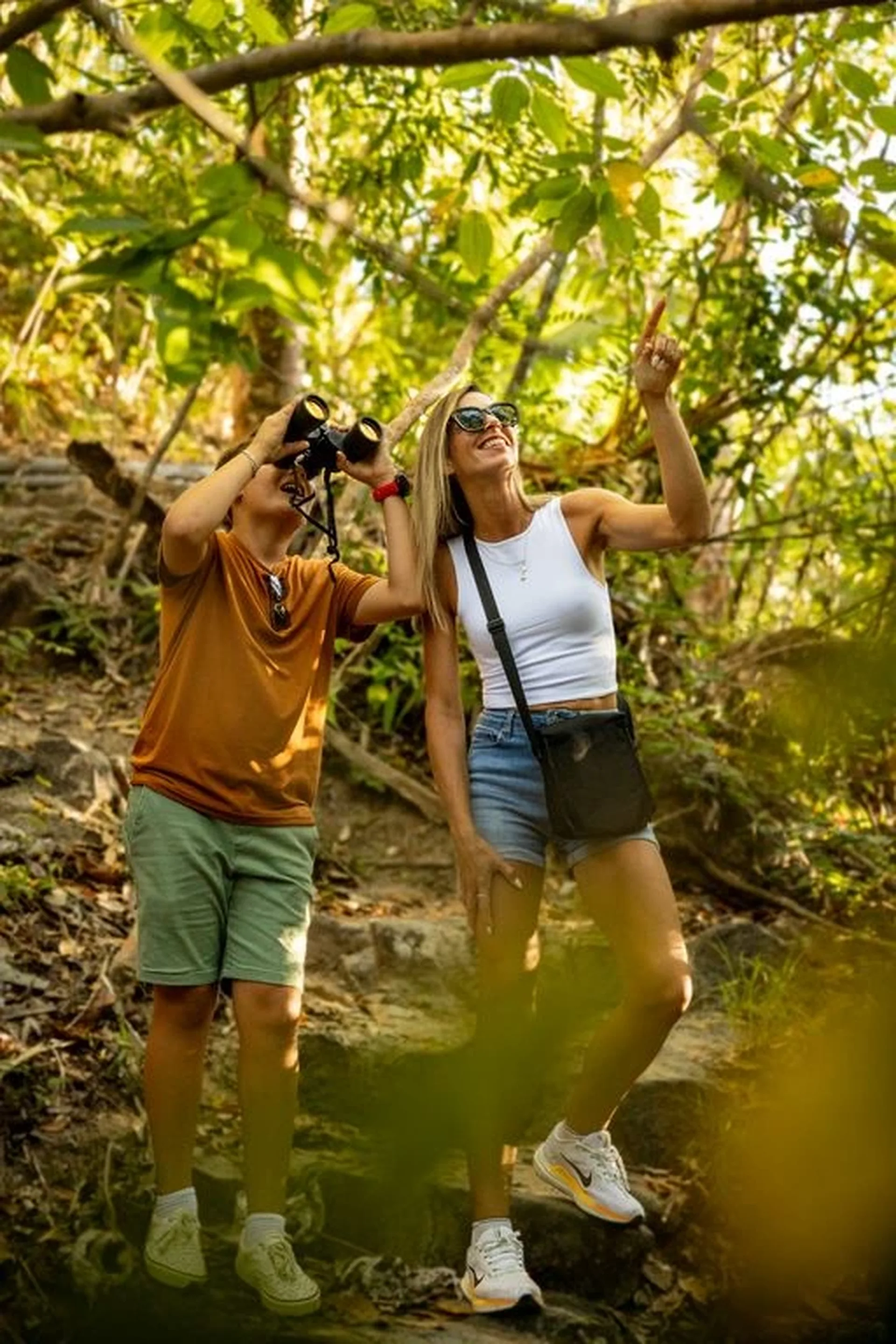 bird watching tour