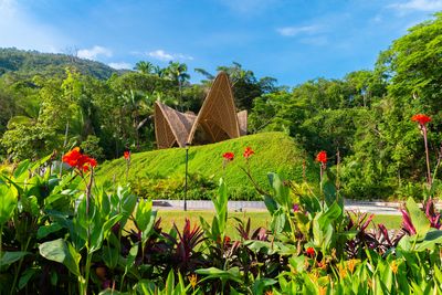 garza blanca puerto vallarta