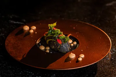 Gallery TierraLuna 14