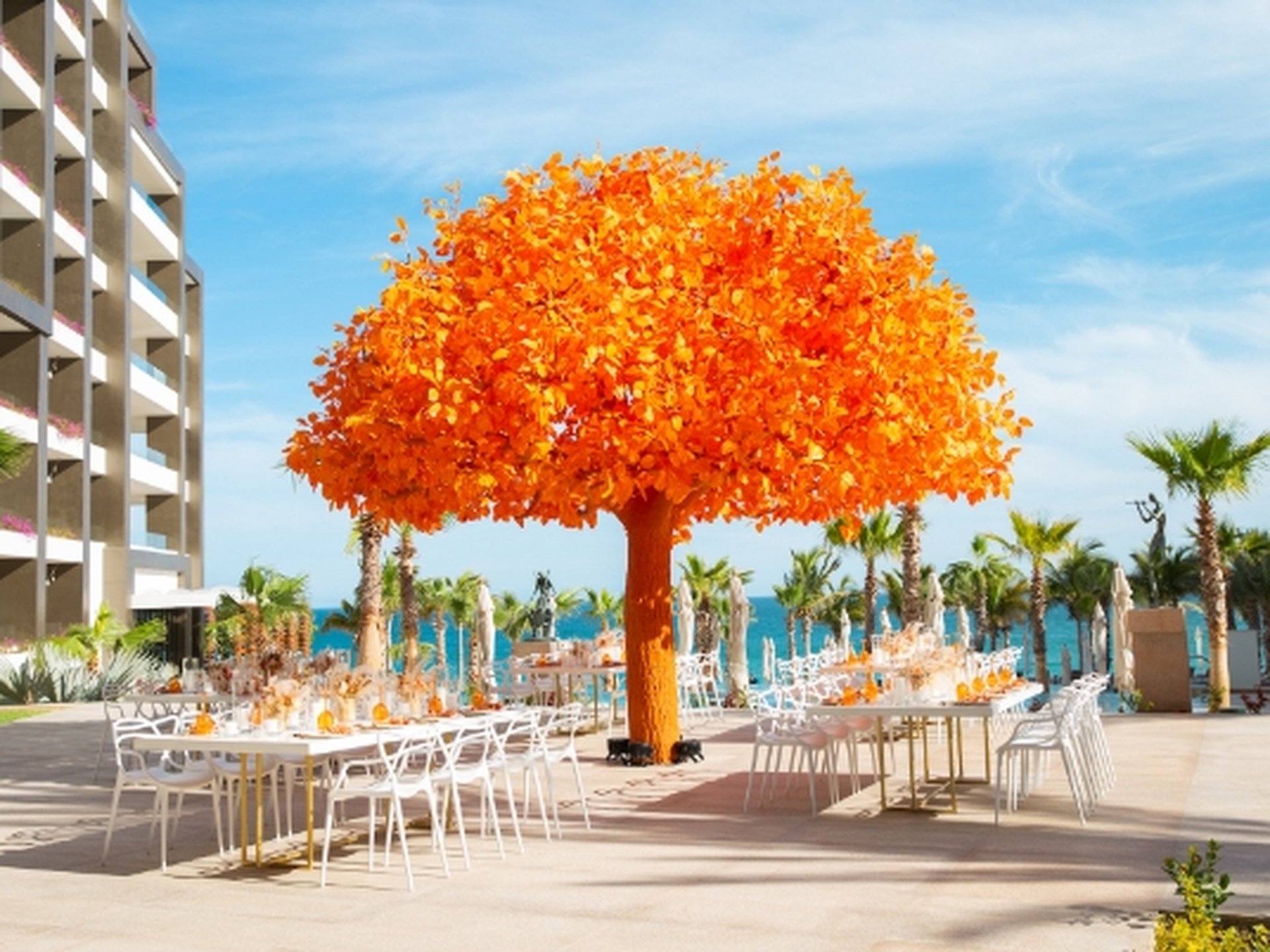 A vibrant orange tree centerpiece on a patio with white tables and chairs, overlooking the ocean under a blue sky.