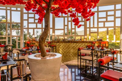 MSPV Dining DAO Restaurant 10