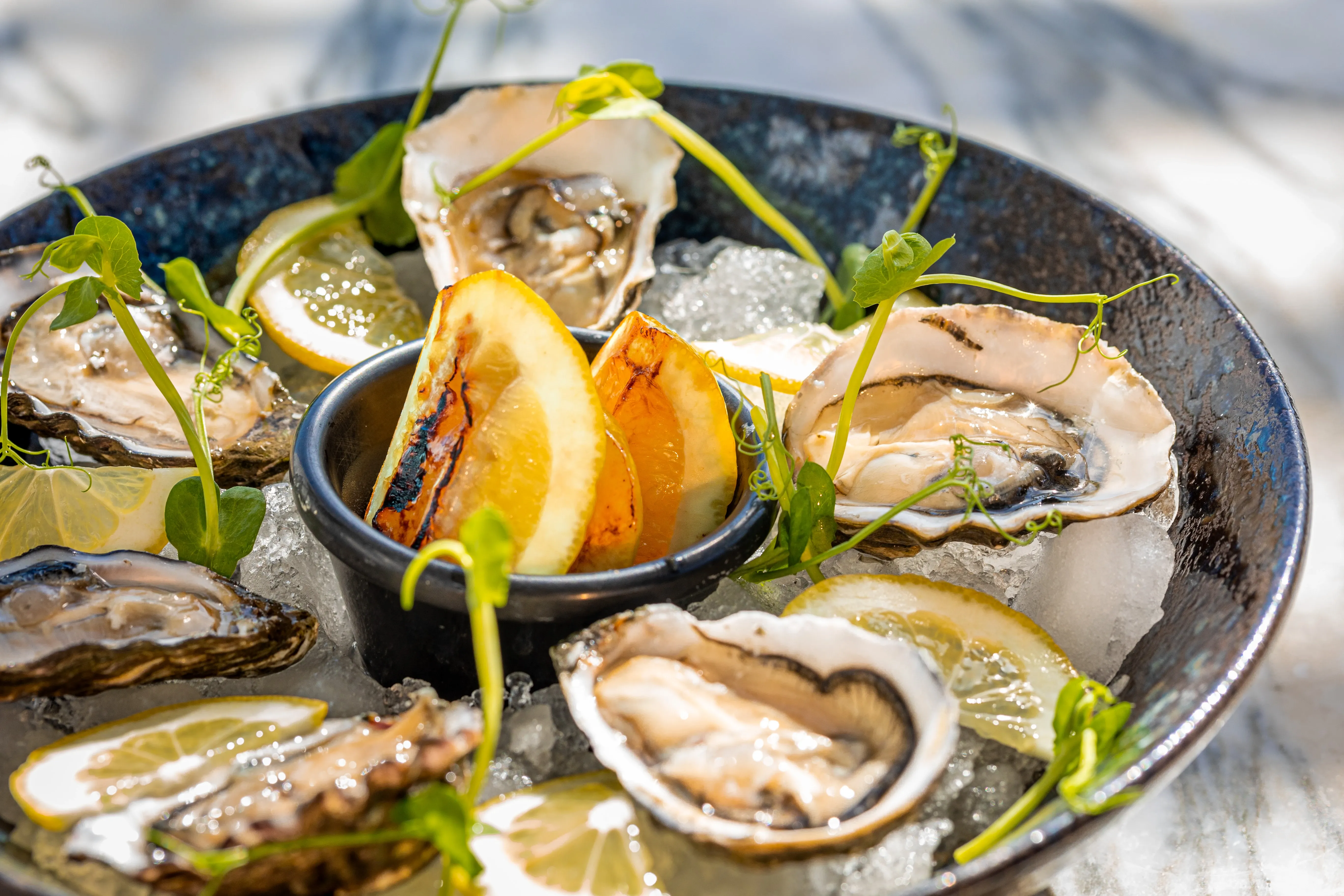 mousai vallarta rooftop