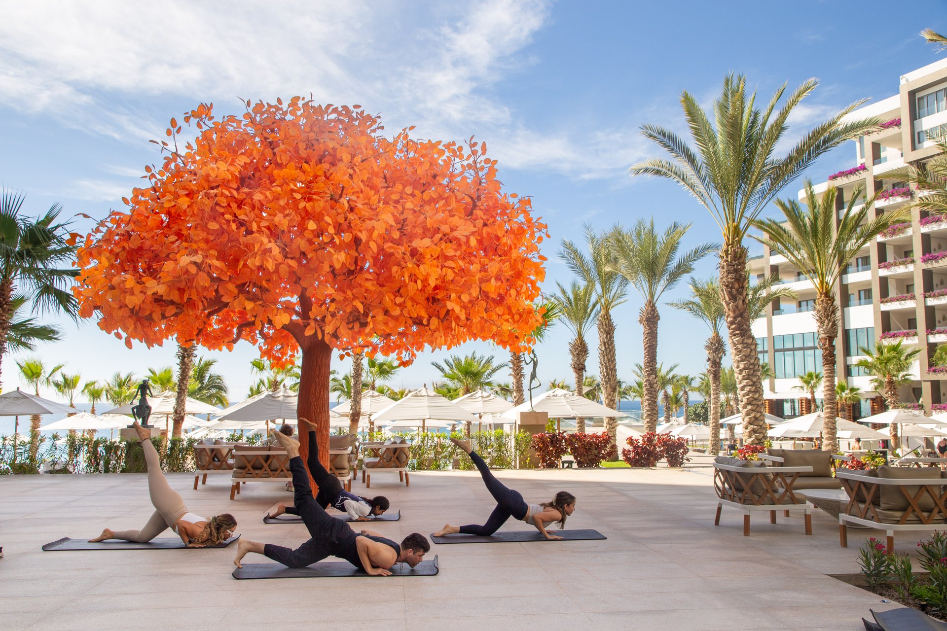 Garza Blanca Los Cabos Resort Activities