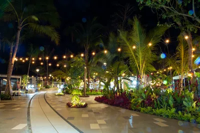 Gallery TierraLuna 03