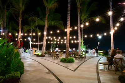 Gallery TierraLuna 04