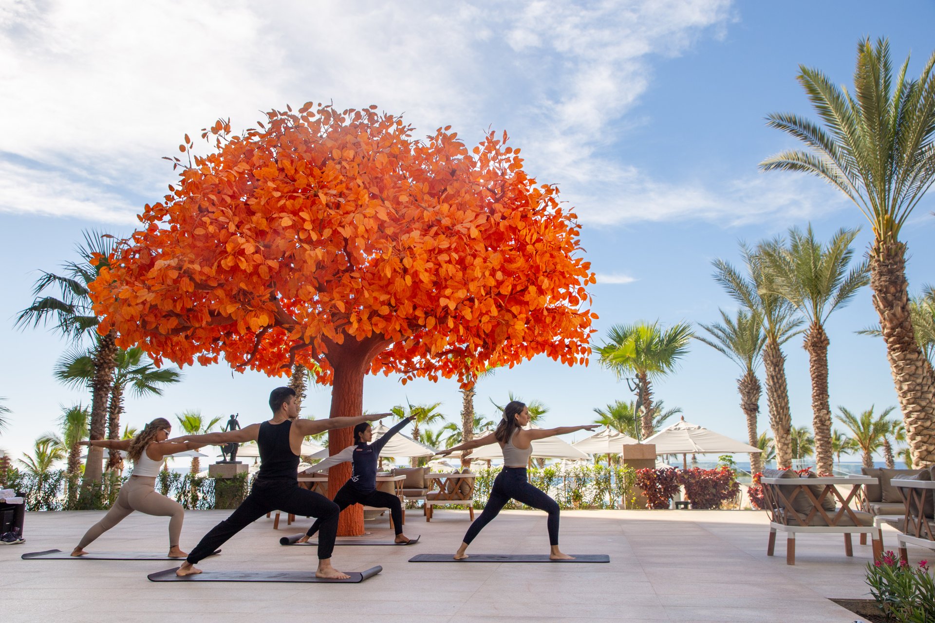 Garza Blanca Los Cabos Resort Amenities