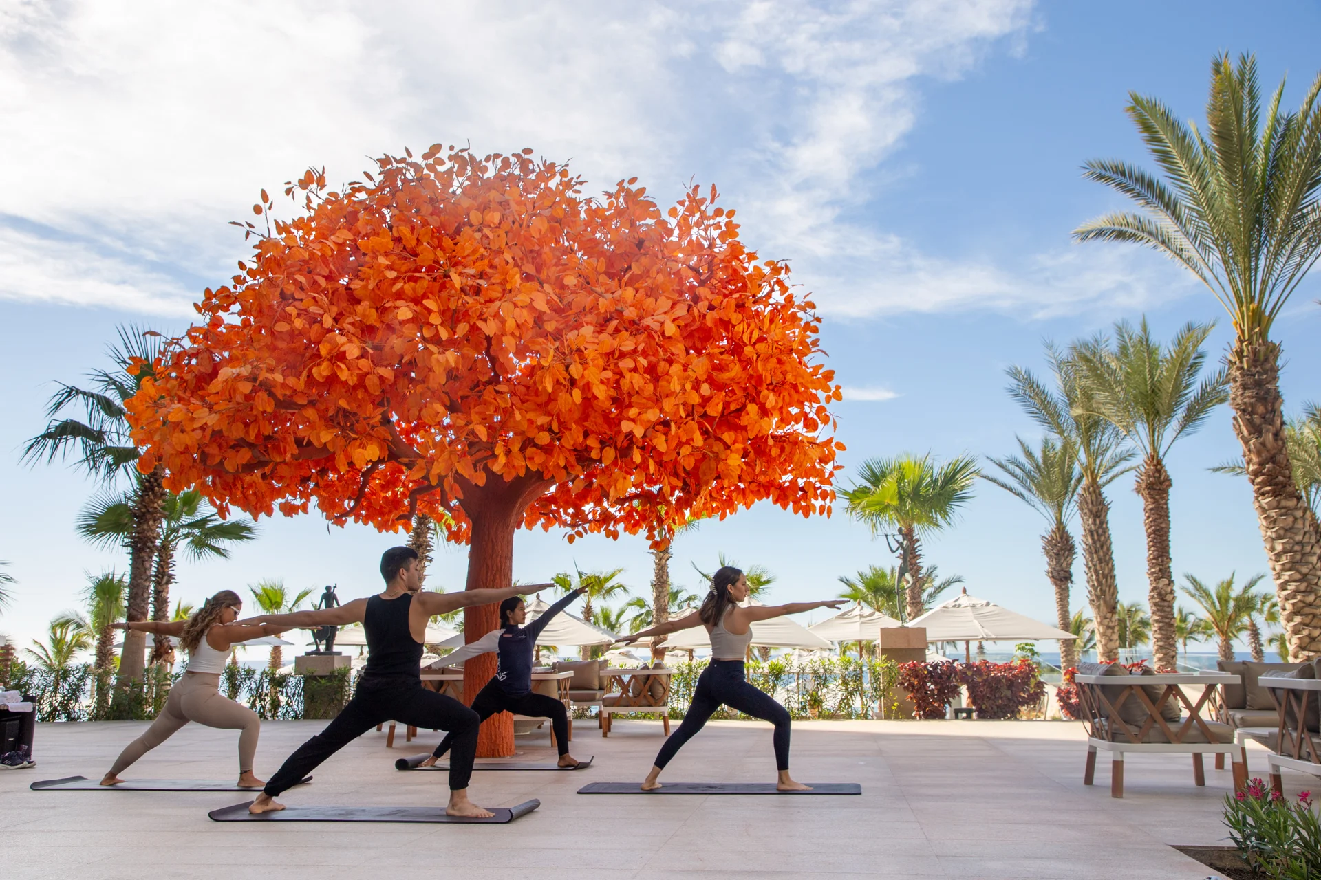 Garza Blanca Los Cabos Resort Amenities