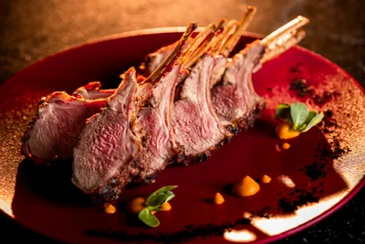 Gallery TierraLuna 23