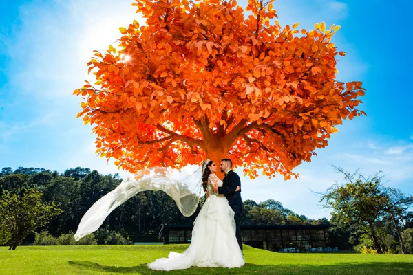 Salida de los novios por el pasillo entre invitados y sillas Tiffany junto al lago