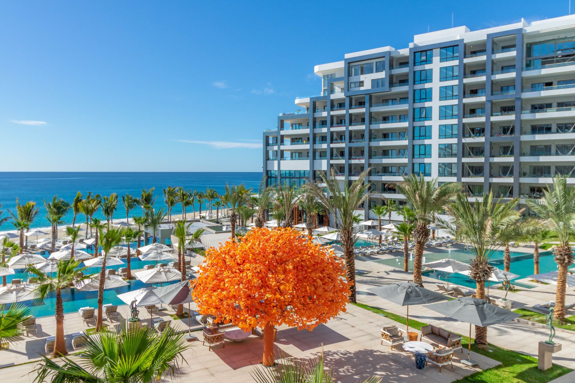 aerial-view-of-the-garza-blanca-cabo-orange-tree