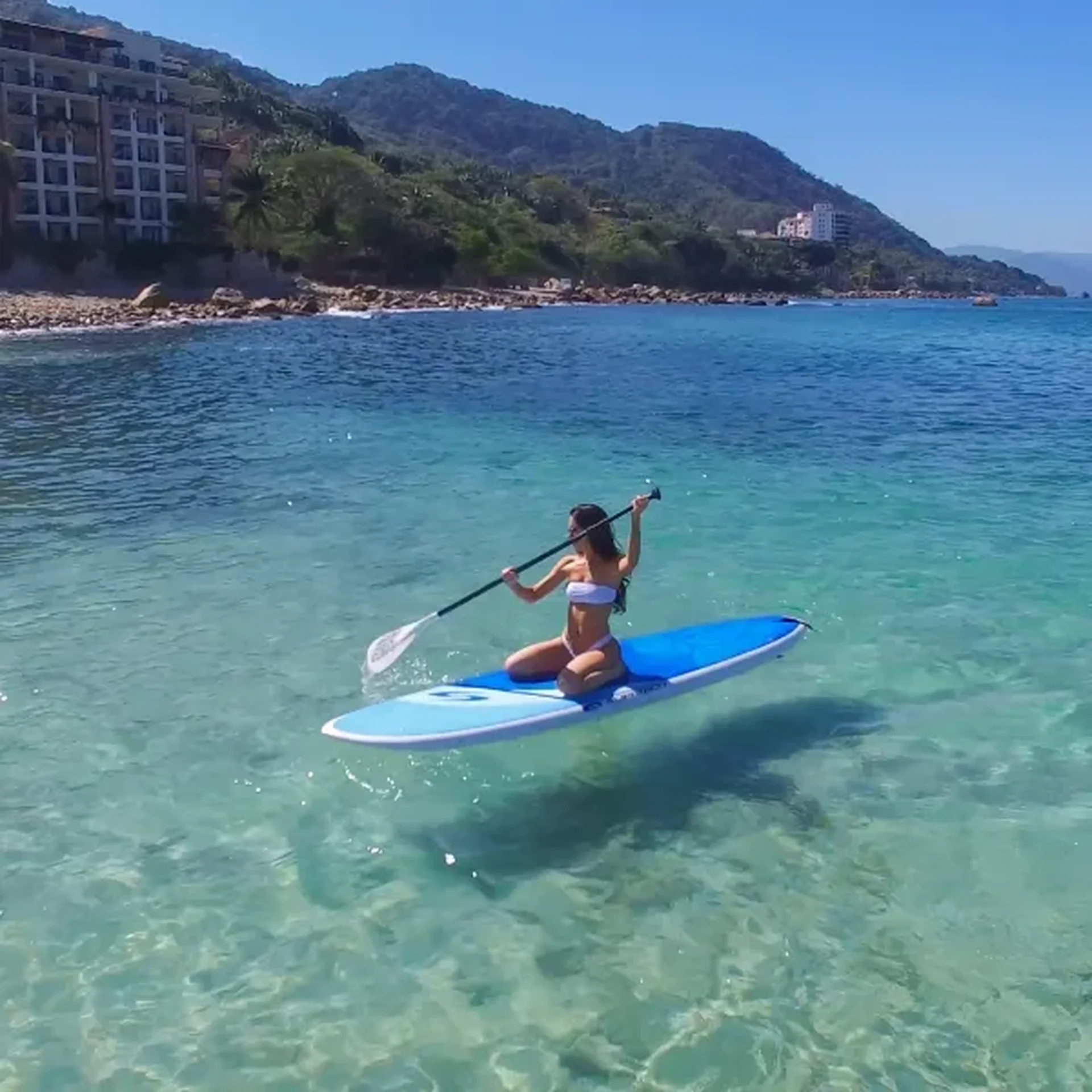 activities hotel mousai puerto vallarta