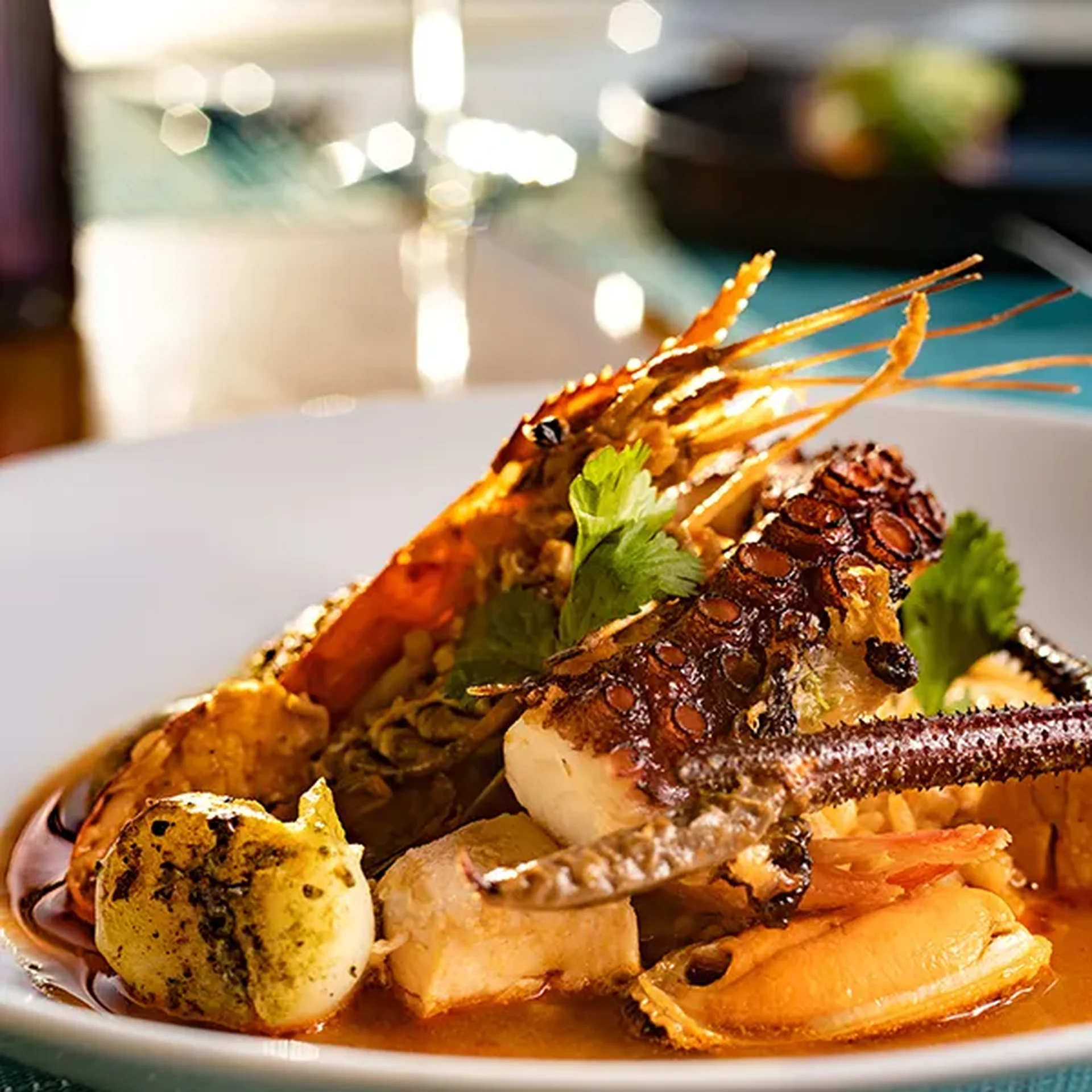 gourmet-dining-garza-blanca-valllarta