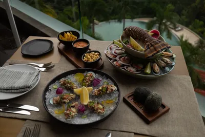 MSPV DIning Misika Peruvian 10