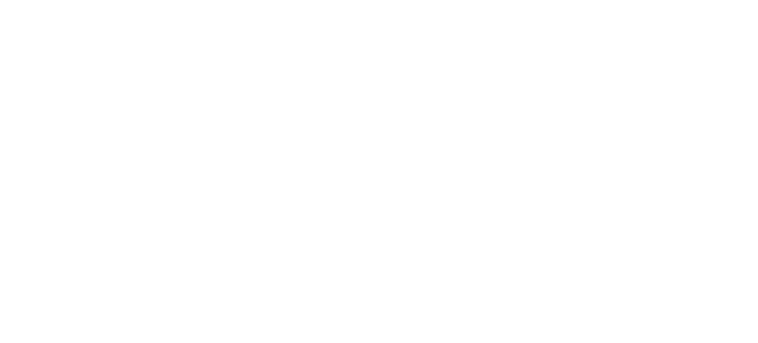 Fall Sale 2026