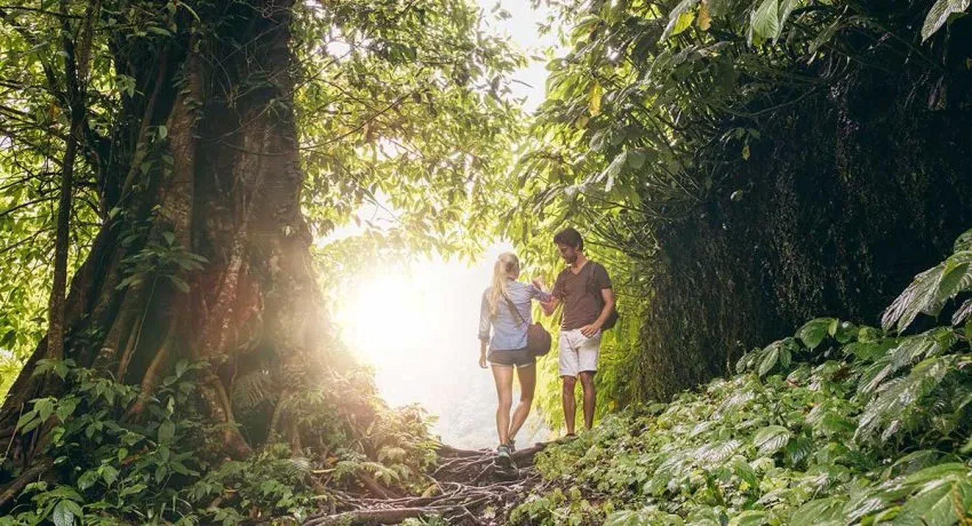 A couple walks through a lush, sunlit forest trail, surrounded by dense green foliage and tree roots.