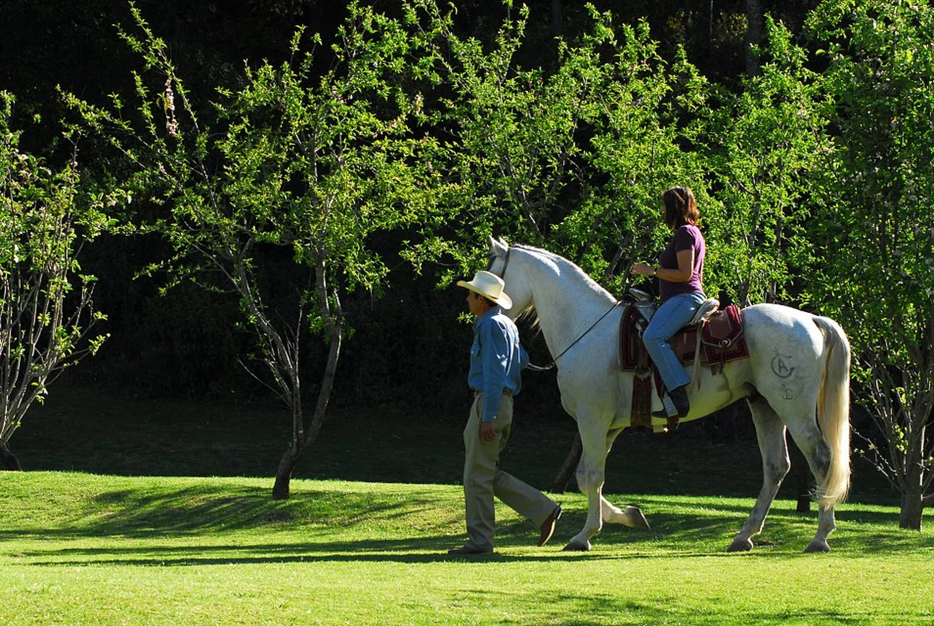 Horseback ride through the countryside