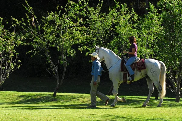 Sierra Lago Resort & Spa - Guide leading a guest on a white horse across the resort lawn
